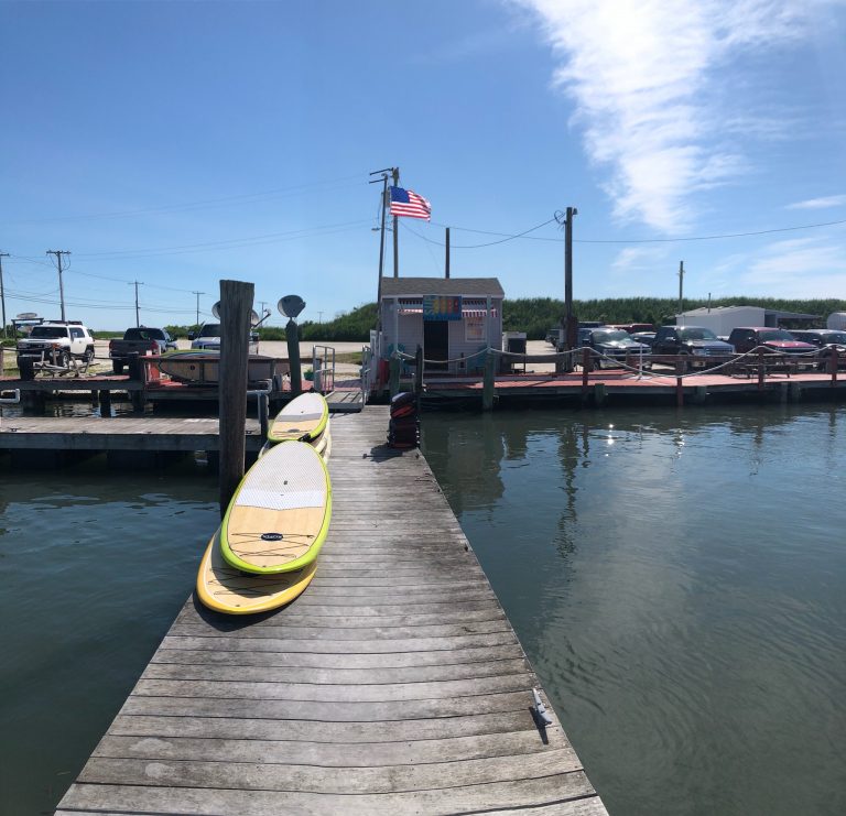 SUP CAPE MAY PHOTOS Paddle boarding groups rentals tours yoga