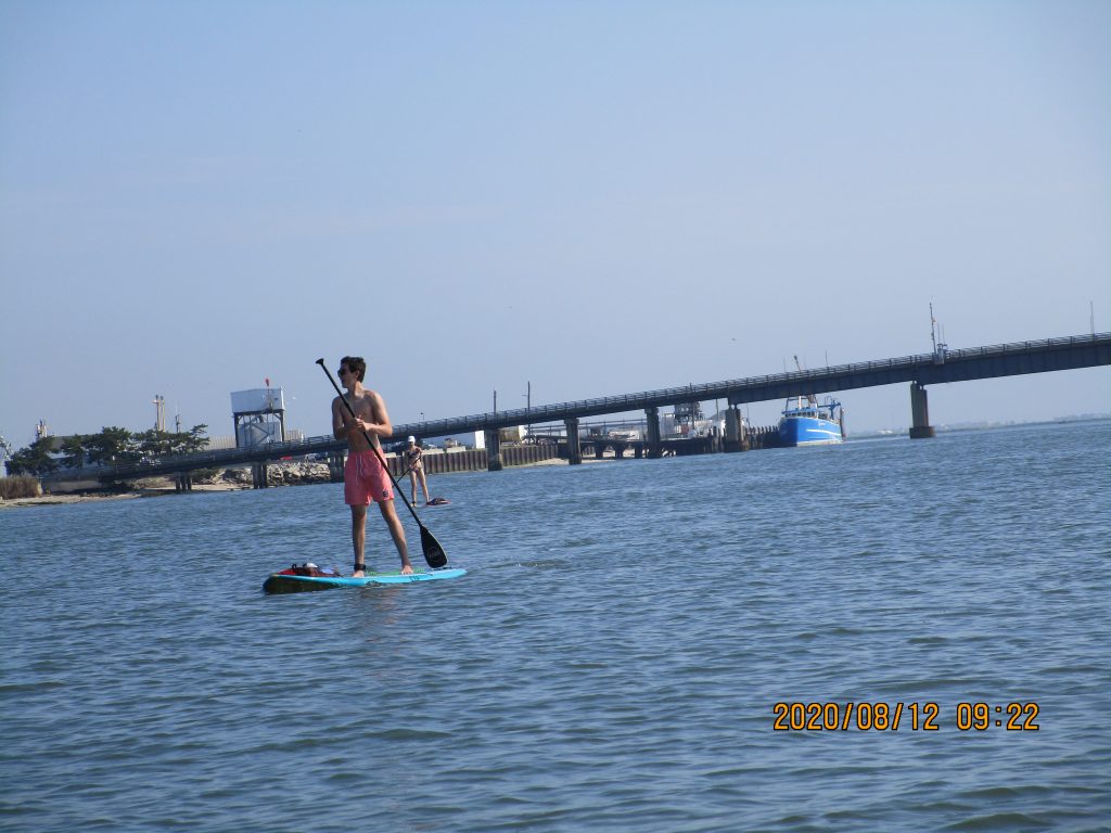 SUP CAPE MAY PHOTOS Paddle boarding groups rentals tours yoga