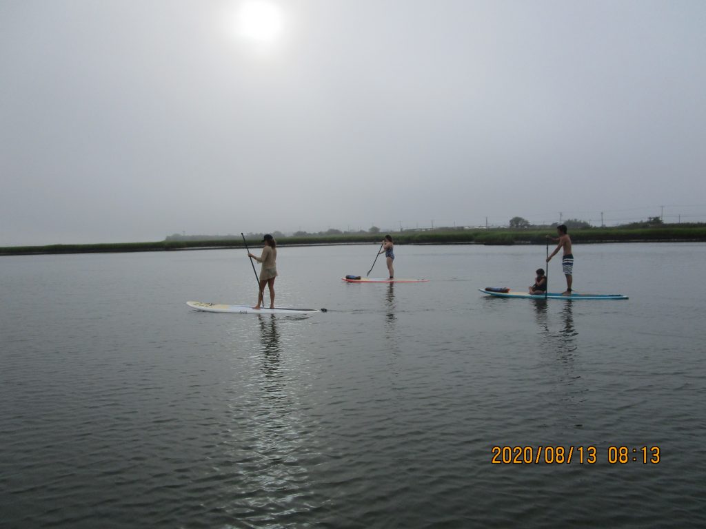 SUP CAPE MAY PHOTOS Paddle boarding groups rentals tours yoga